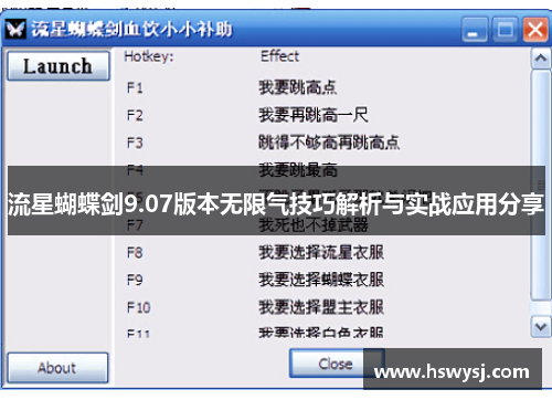 流星蝴蝶剑9.07版本无限气技巧解析与实战应用分享
