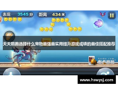 天天酷跑选择什么宠物最强最实用提升游戏成绩的最佳搭配推荐