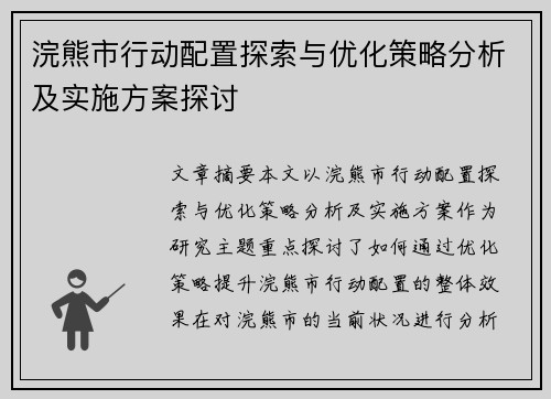 浣熊市行动配置探索与优化策略分析及实施方案探讨